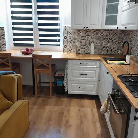 Apartament "Konie I Anioly" Boguszów-Gorce 外观 照片