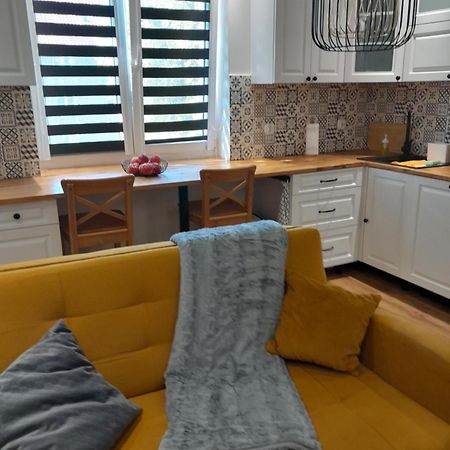 Apartament "Konie I Anioly" Boguszów-Gorce 外观 照片