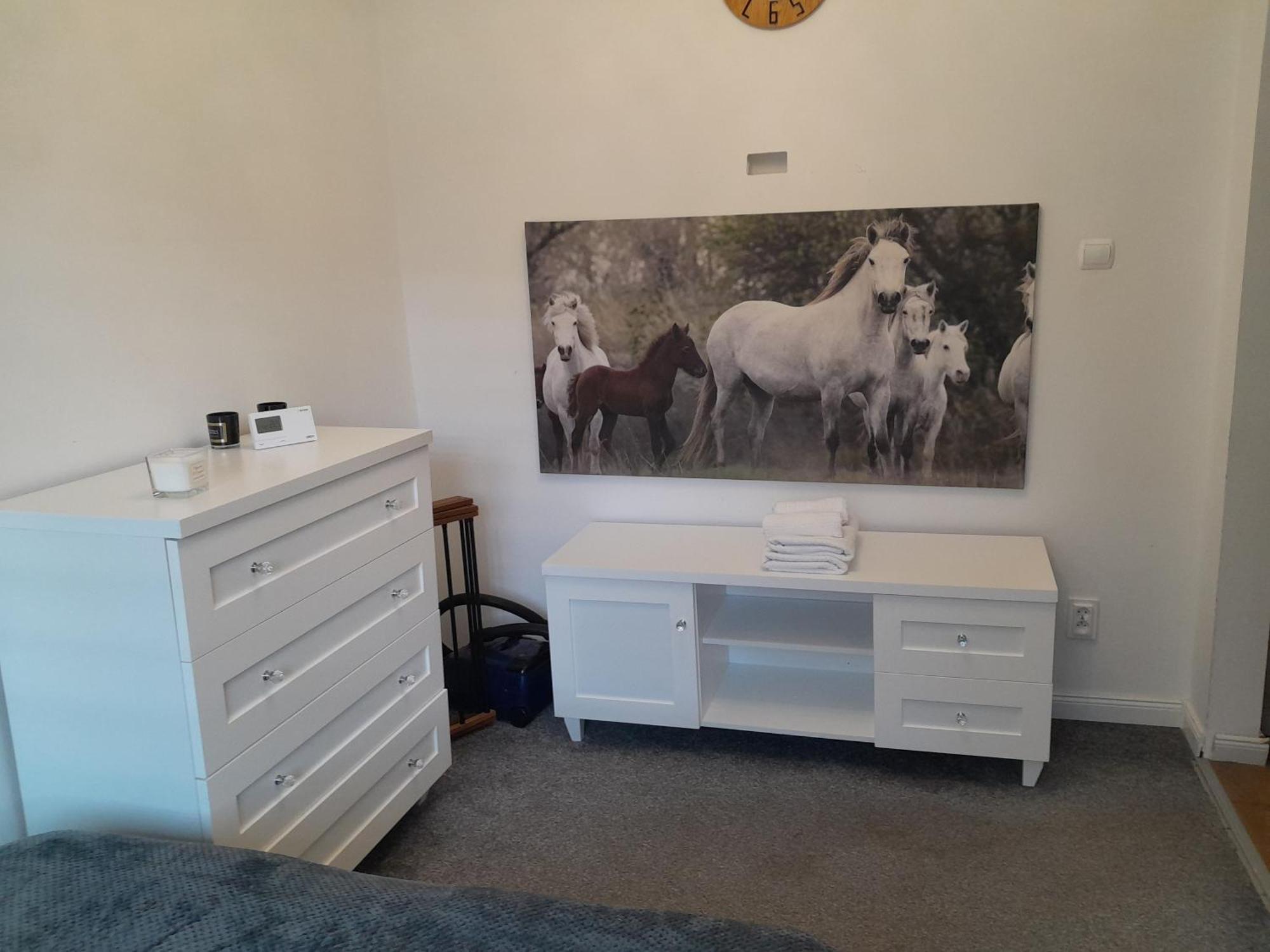 Apartament "Konie I Anioly" Boguszów-Gorce 外观 照片